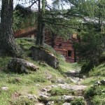 Rundweg Elmautal - Filzmoosalm - Loosbühelalm - Kurzmeldung  Elmautal-056-150x150