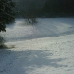 Winterspaziergang zwischen Haibach und Bessenbach - Allgemein  IMG00521-20130209-1125-150x150