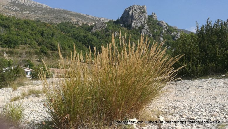Von Castellane durch die Verdon-Schlucht nach Mostiers-Staintes-Marie - Frankreich Outdoor-Erlebnisse Provence RSS-Feed Wohnmobil-Touren  IMG_20190918_114800-780x440