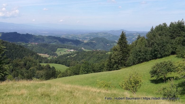 Drei wunderschöne faszinierende Touren mit sagenhaftem Fernblick rund um Leutschach / Steiermark - Österreich RSS-Feed Steiermark Wanderungen Wohnmobil-Touren  123-IMG_20200827_125344-780x440