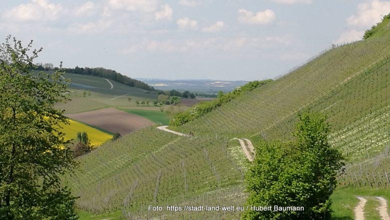 Drei wunderschöne Radtouren mit Pedelec rund um Iphofen im Steigerwald - Andere Themenradwege Bayern Burgen und Schlösser Deutschland Outdoor-Erlebnisse Radtouren RSS-Feed Wohnmobil-Touren Wohnmobilstellplätze  30-IMG_20220508_123123-780x440